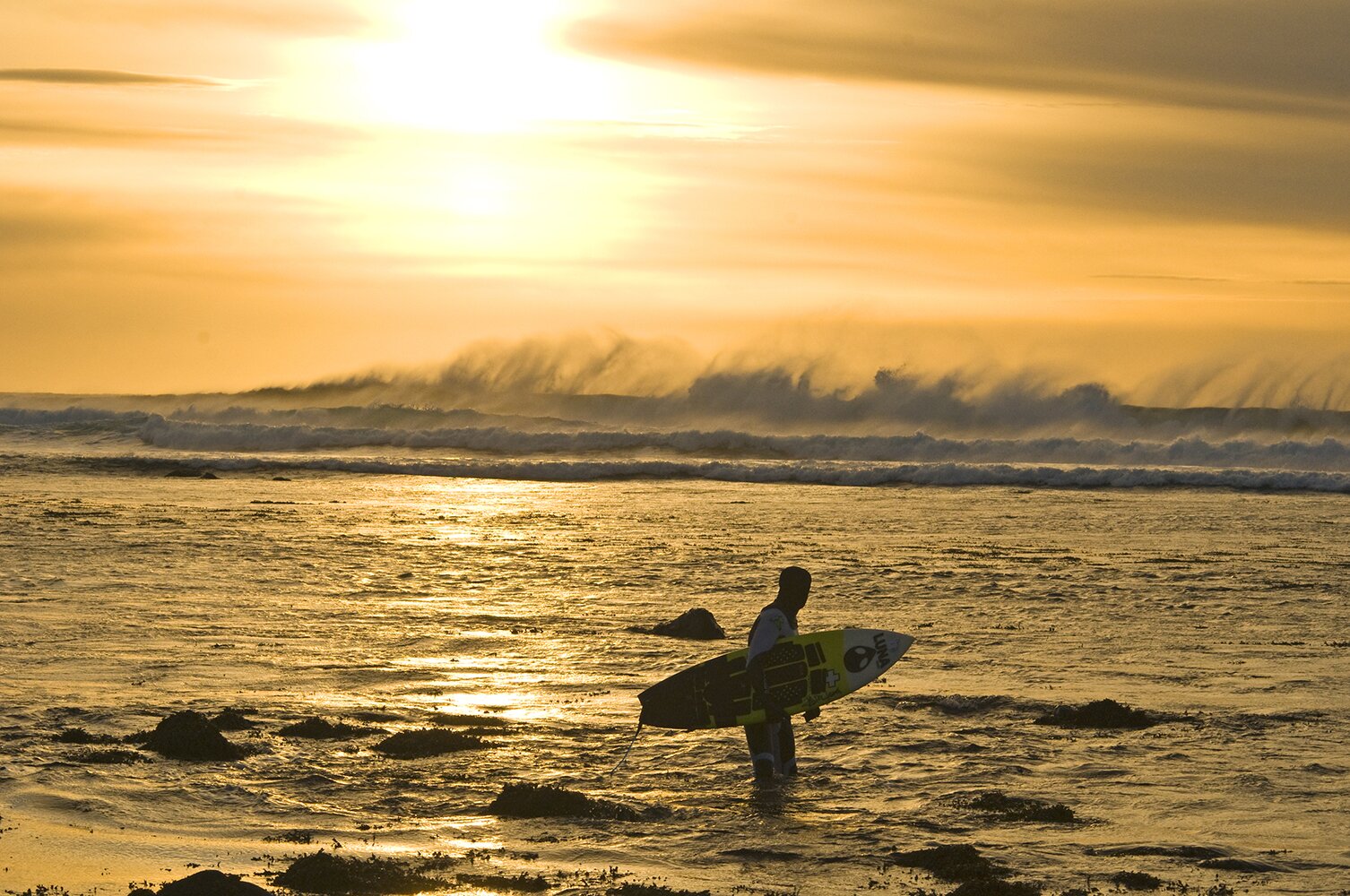 Stacks Image 951