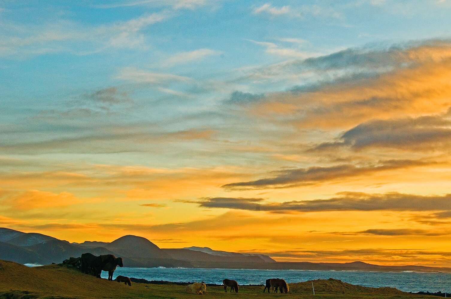 Stacks Image 953